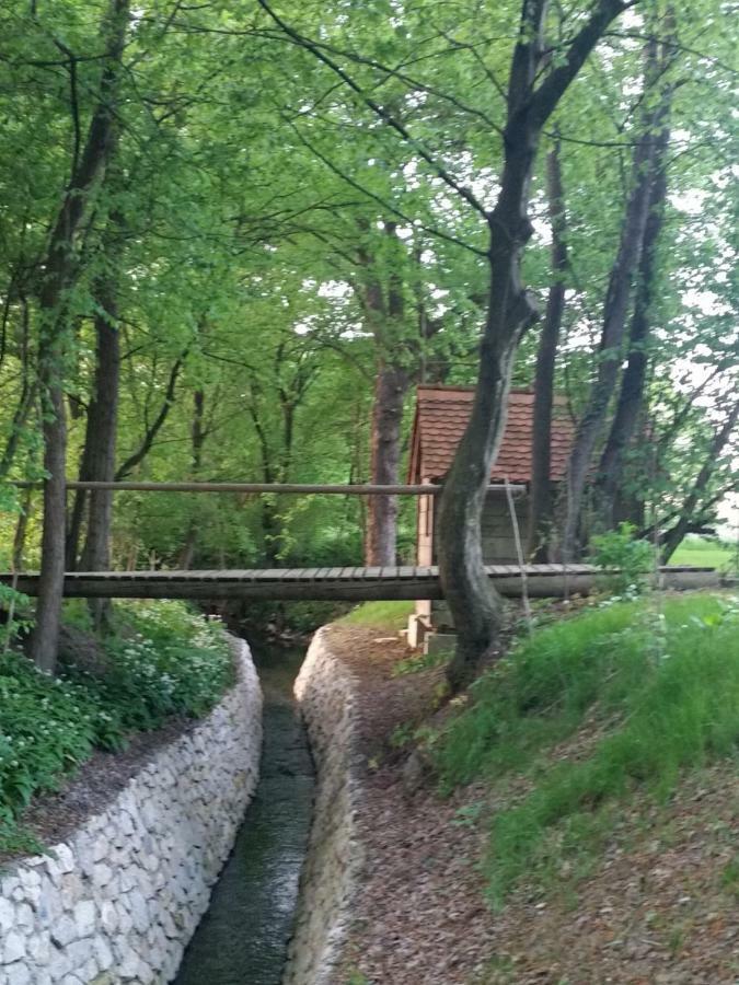 Rural Holiday Home "Rim" Ruralna Kuca Za Odmor Veliki Lovrecan Екстер'єр фото