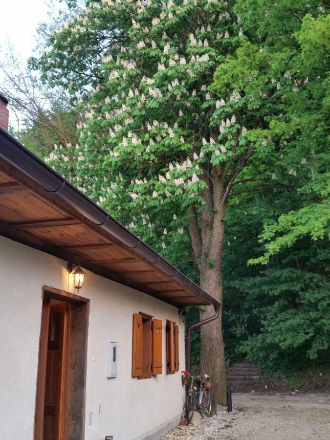 Rural Holiday Home "Rim" Ruralna Kuca Za Odmor Veliki Lovrecan Екстер'єр фото