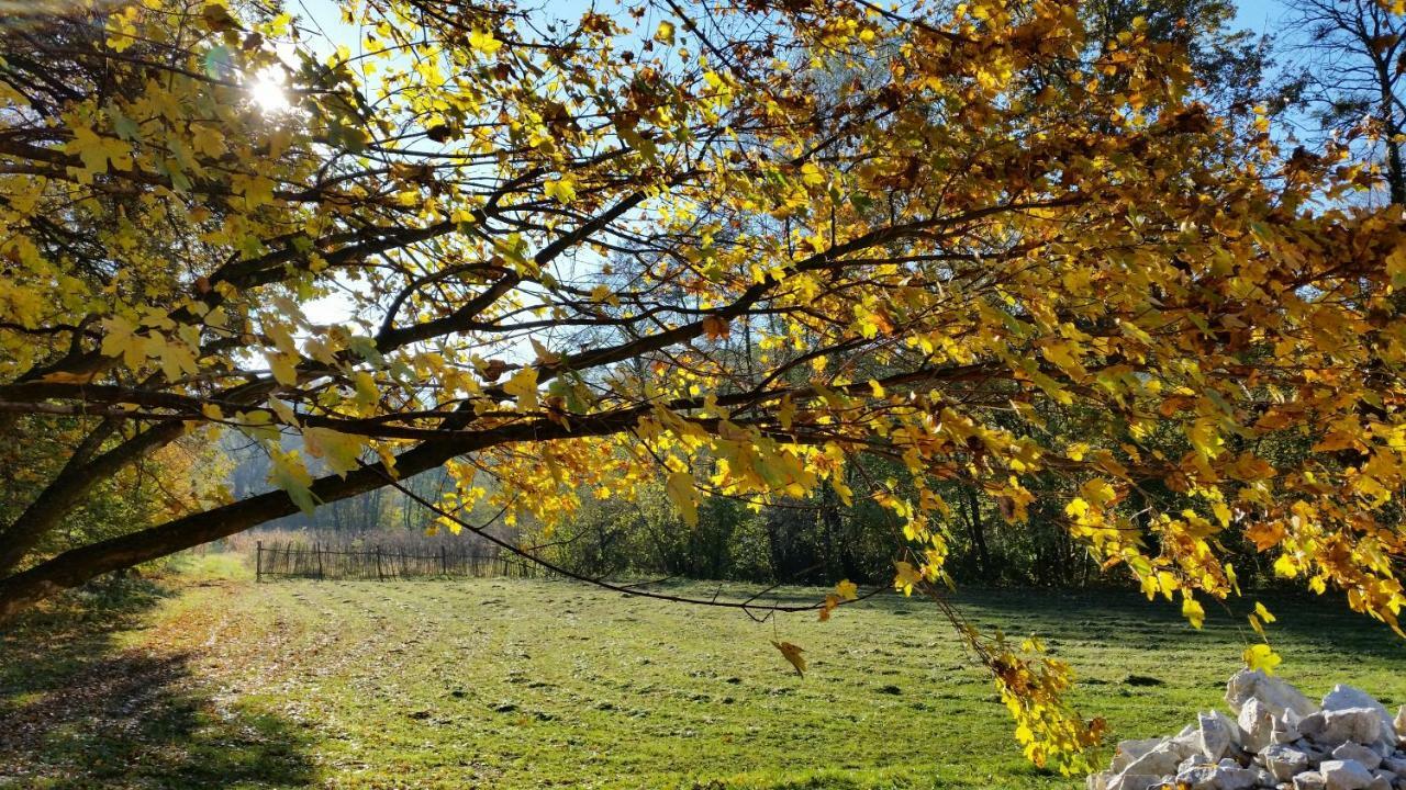 Rural Holiday Home "Rim" Ruralna Kuca Za Odmor Veliki Lovrecan Екстер'єр фото