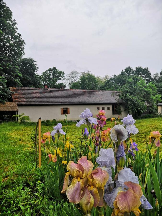 Rural Holiday Home "Rim" Ruralna Kuca Za Odmor Veliki Lovrecan Екстер'єр фото